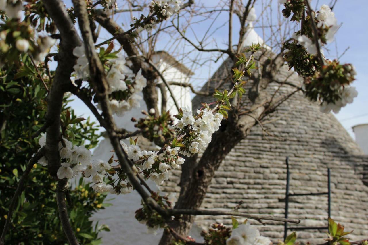 Villa Trullo "Vicolo Fiorito" Alberobello Exterior foto